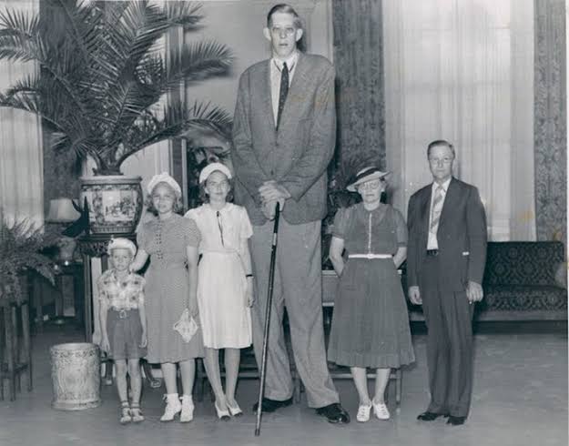 5 tallest men in the world