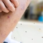 top_5_deadliest_animals_for_humans